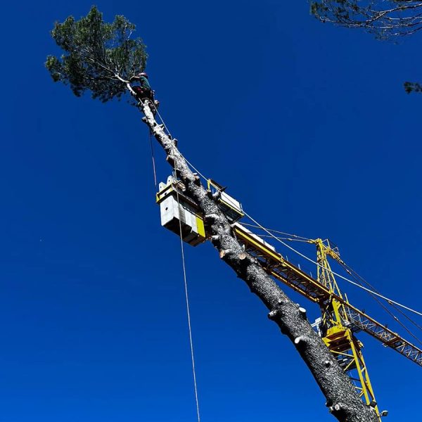 Création et entretien de jardins